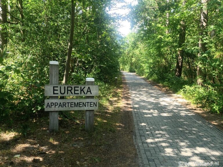 Eureka in het Bos